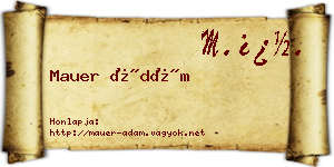 Mauer Ádám névjegykártya